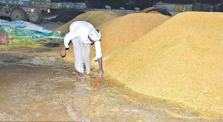 Sudden rain in Telangana. Severe damage to crops.