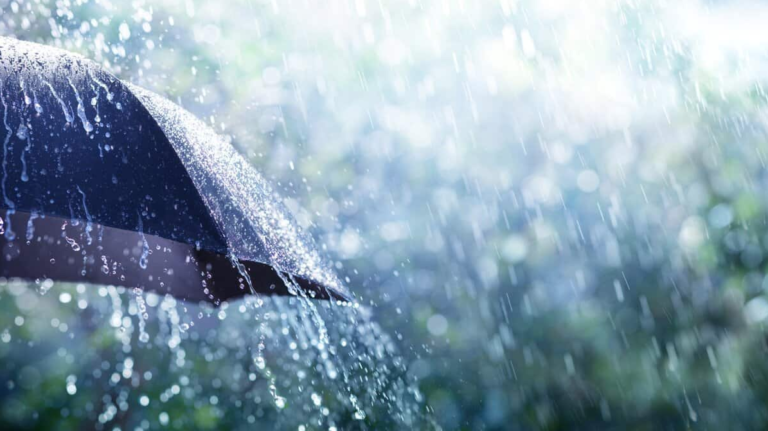 Heavy Rain and Thunderstorms Expected in Telangana Today; IMD Issues Orange Alert